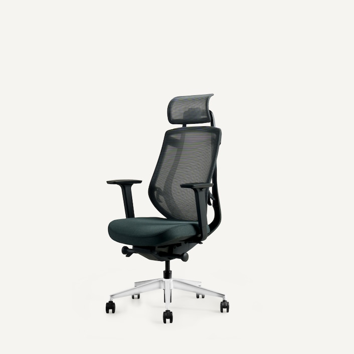 オフィスチェア・C2 | FlexiSpot 公式ストア