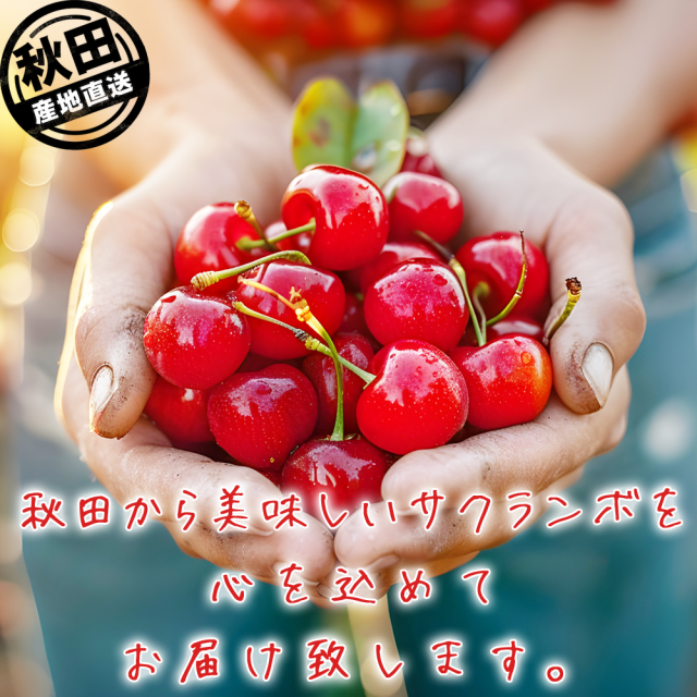 味にこだわり！秋田県産 さくらんぼ ♪佐藤錦,チャーミーチェリー