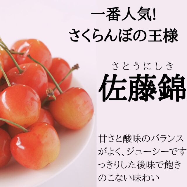 送料無料】さくらんぼ 佐藤錦 約2kg