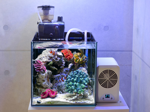 ゼンスイ プロテインスキマーQQ1 アクアテイラーズ オンラインショップ