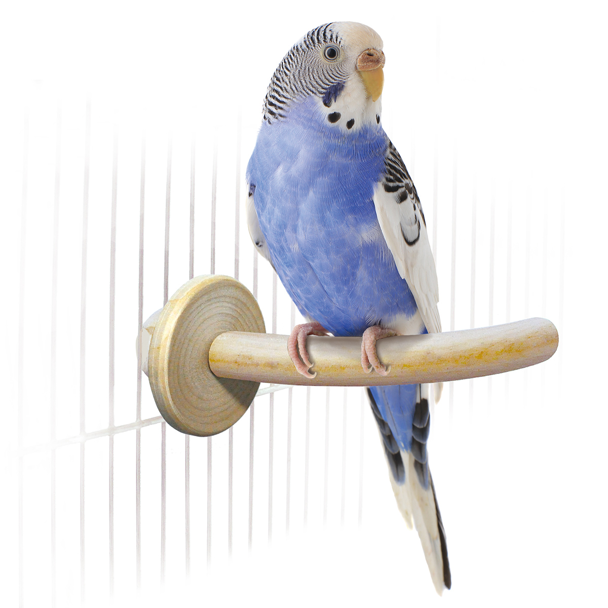 バリ島で購入インテリア・鳥のとまり木② バリ島で購入インテリア・鳥