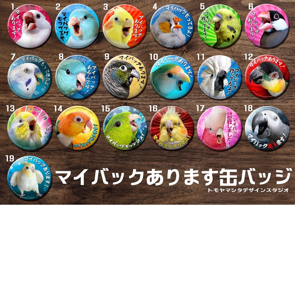 AVAM ランチェキ ブロマイド 缶バッチ アクキー バラ売り◎ AVAM