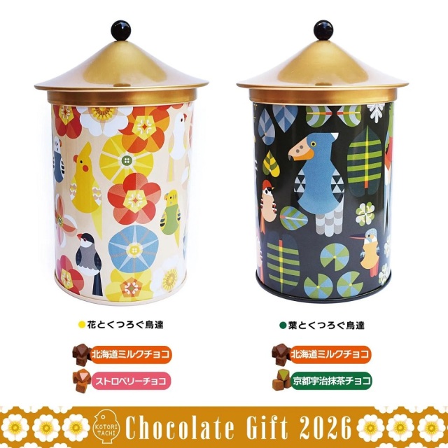 9991520【More Style】アクリルケージケースSLIM・扉ありS/35角