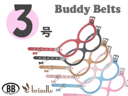 3号サイズ BUDDY BELTS バディーベルト バディベルト ハーネス | brindle