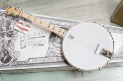 DEERING Goodtime Open Back Tenor Banjo オープンバック テナー