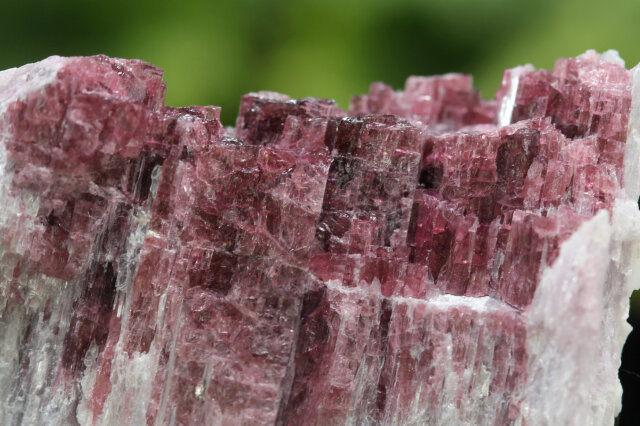 F*能様 『パーティーカラー』 トルマリン 原石 鉱物標本 天然石 707 F