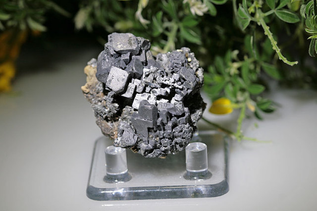 239g 共生結晶付き方鉛鉱 金属的鉛光沢 美品 239g 共生結晶