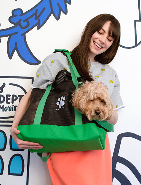 DOG GOODS】メッシュキャリー