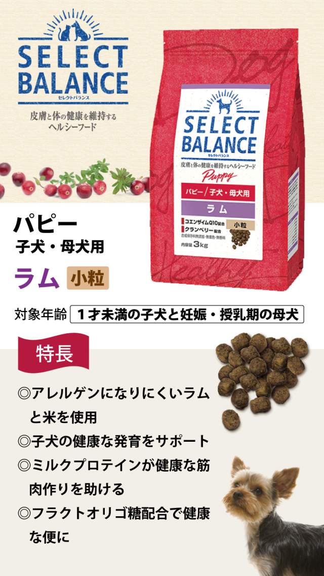 セレクトバランス パピー ラム小粒3kg