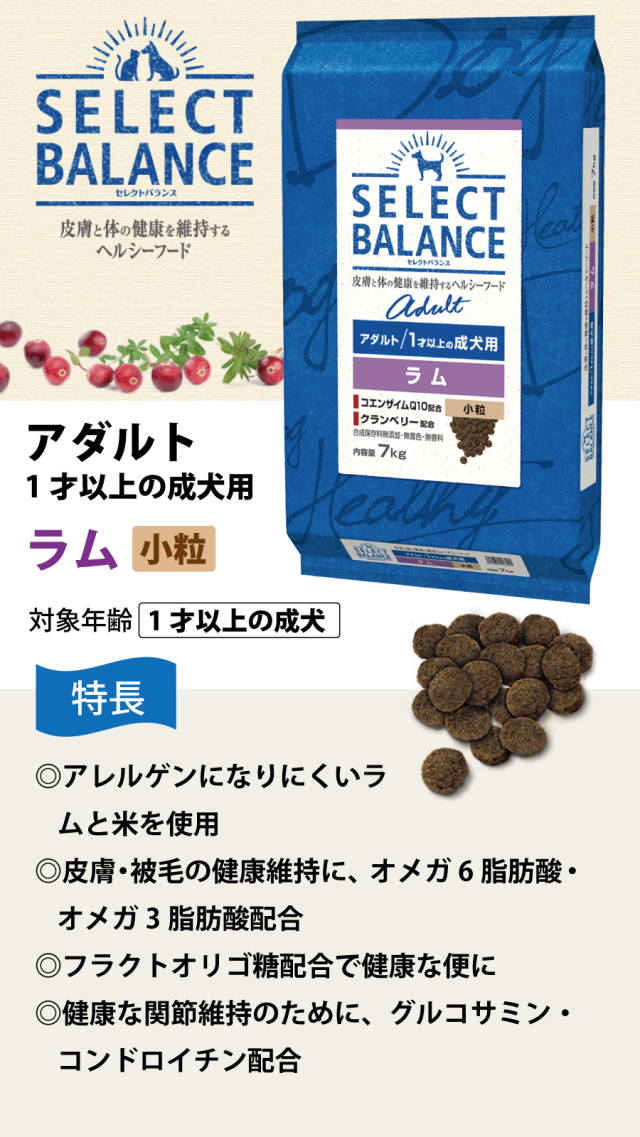 セレクトバランス パピーラム 3kg 2袋セット パピー/子犬・母犬用 ラム