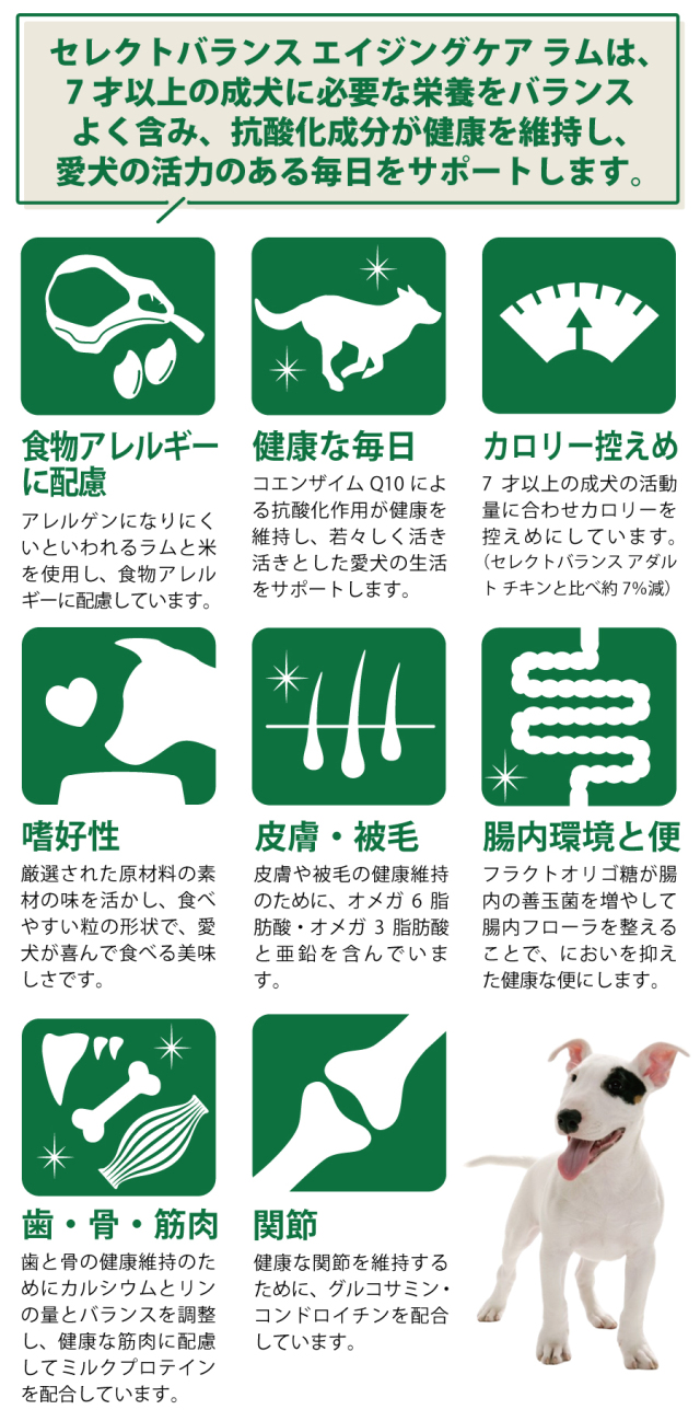 セレクトバランス エイジングケア ラム 小粒 7kg