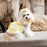 犬服ブランド「グラマーイズム（Glamourism）」 公式通販