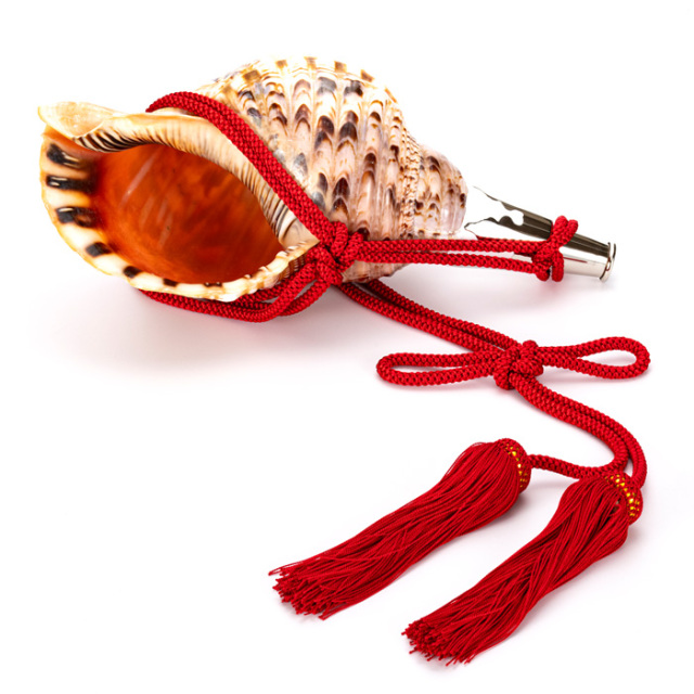 No.57 法螺貝（ほら貝） 14インチ | 高級神棚・神具の通販なら伊勢宮忠