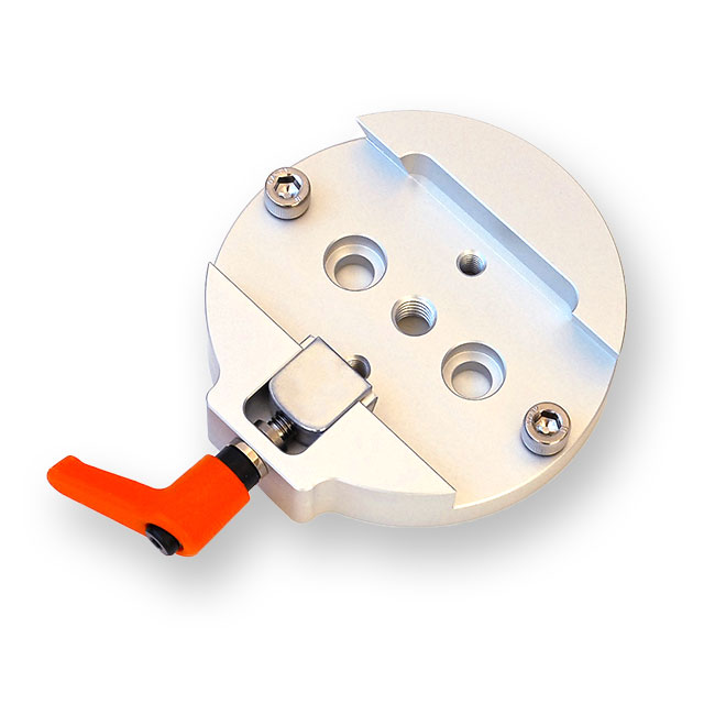 コンゴDR 大型 赤道州 トルクアタ 83mm 【公式通販】