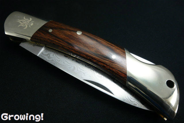 ナイフショップ グローイング！□関兼常作【KANETUNE】□ 「金鹿