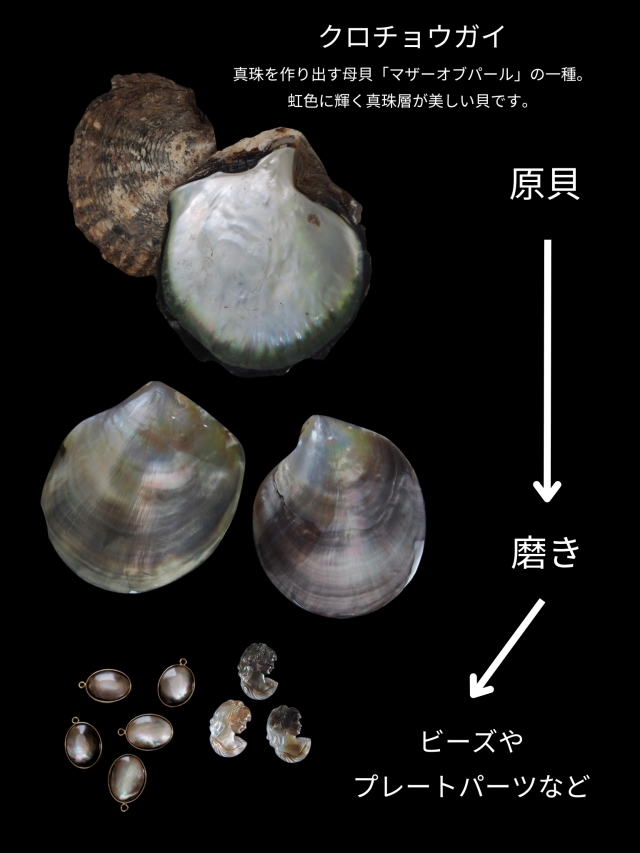 貝殻シート#23 ブラックリップ（クロチョウガイ）【14×24cm 厚さ0.18