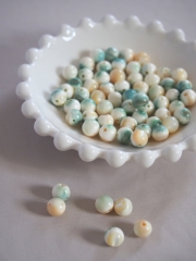 夜光貝 まとめ5個セット サイズ11-12cm 夜光貝 まとめ5個セット サイズ