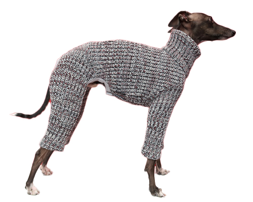 イタリアングレーハウンド専用サイズ