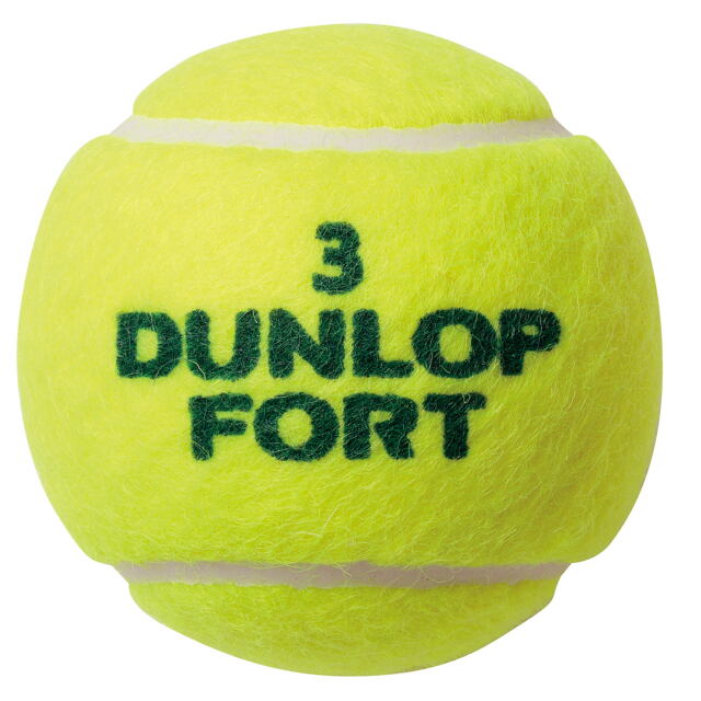ダンロップ テニスボール FORT/フォート 2個入/1缶＜10344281＞