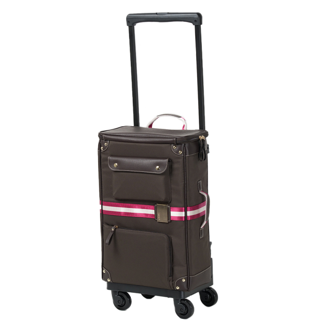 未使用品　SWANY Vanity Travel II ブラウン　スワニー 未使用品 SWANY Vanity Travel II ブラウン スワニー 未使用品 SWANY