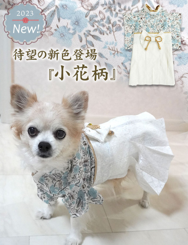 犬服袴♡Y様♡即購入OKd(ゝω・´○)
