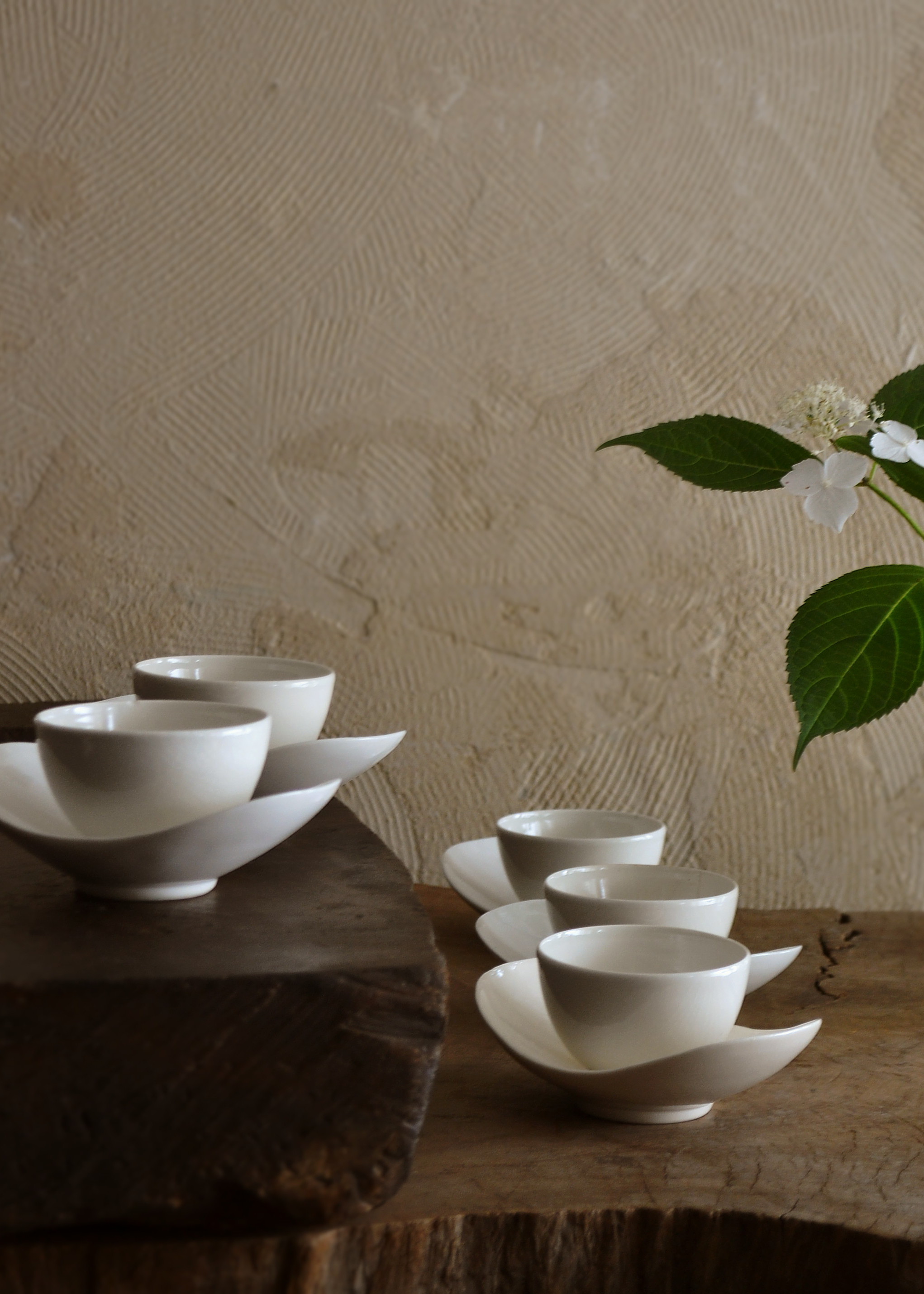 Antique Sam's Collection白磁ソーサー 白磁茶托 白磁皿 モダン小皿 5枚組