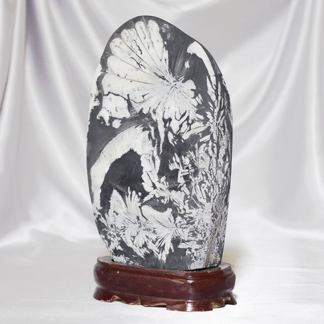 天然石 鑑賞石 菊花石 置物 重さ約1.7kg 唐木台付 V R6819