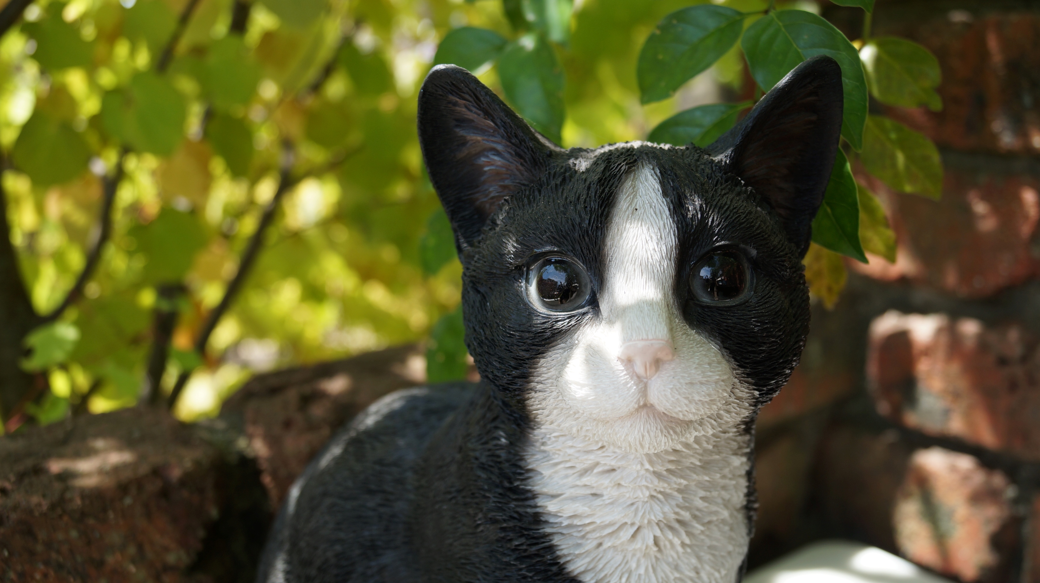 八割れねこ ガーデン雑貨/ガーデニング用品/アニマルオブジェ