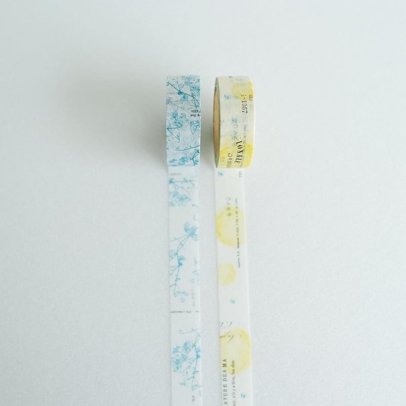 Y-129 ソラトカゼ | ヨハク