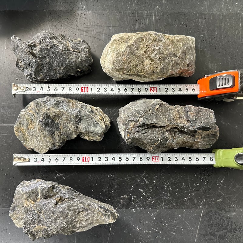 水槽用石 5個セット 竜王石