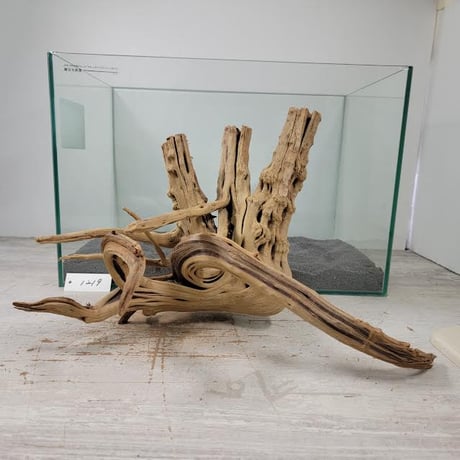 70215 ブランチウッド 流木 アクアリウム 沈水確認済 70215 ブランチ