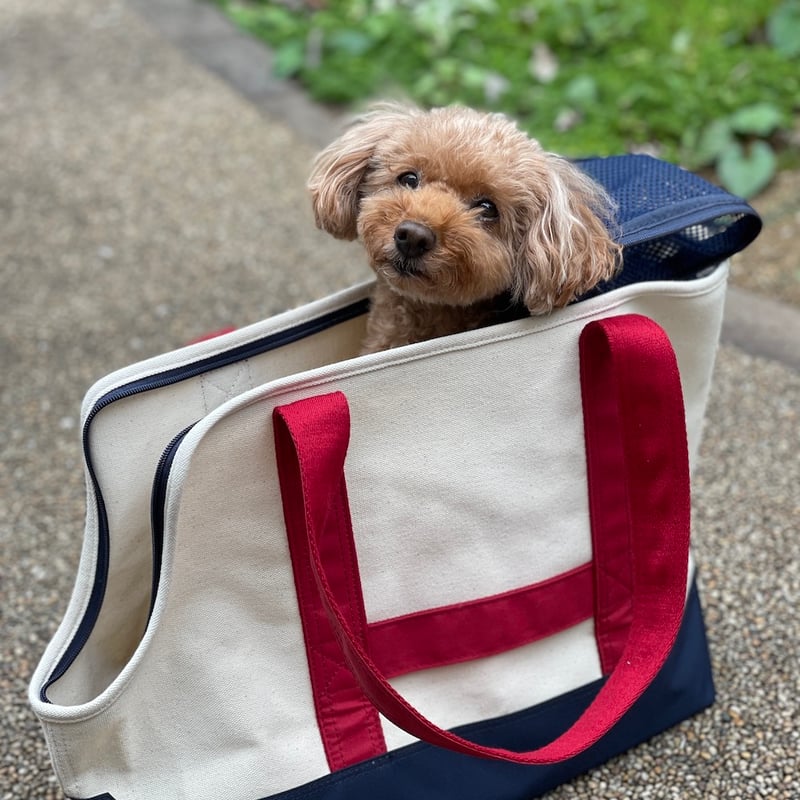 ドッグキャリーキャンバストートバッグ（オフホワイト×レッド