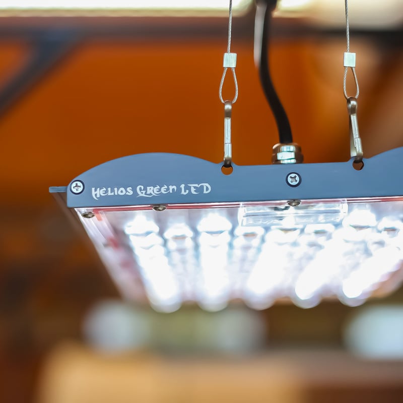 ◇ Helios Green LED PRO Booster 3枚一式セット (303)／ 広