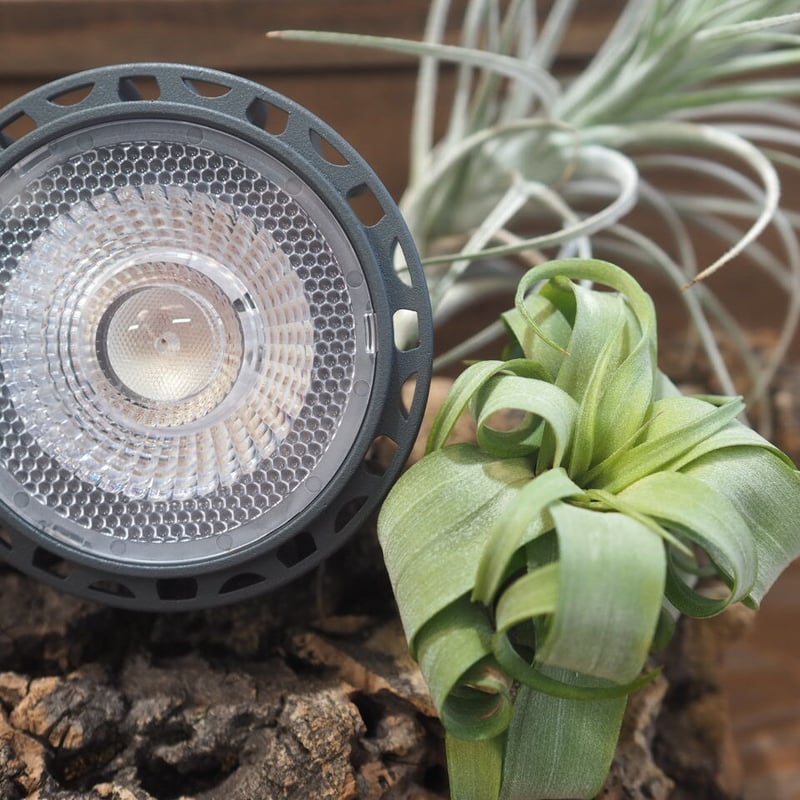 ◇ Helios AQUA LED HA-20 ／アクアリウムに最適なRGB配色【ヘリオス ア