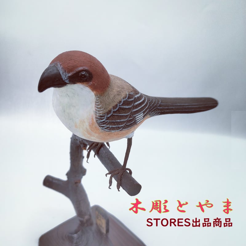 リアルな木製の野鳥 「モズ」 木彫りの野鳥 バードカービング 野鳥彫刻