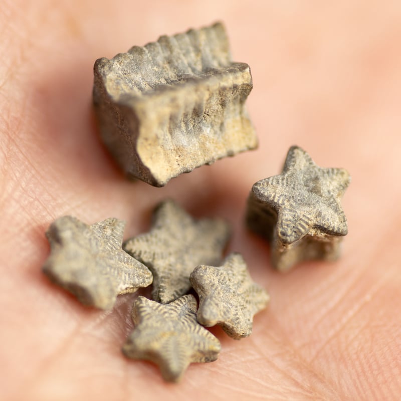 fit=cover,w=800,h=800