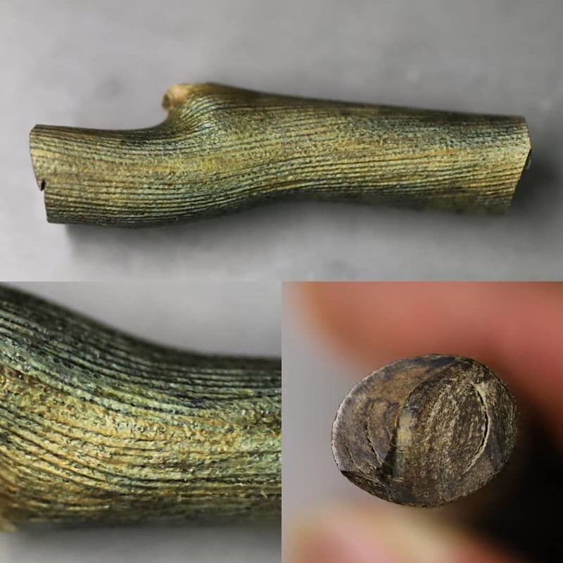 深海松 【公式通販】