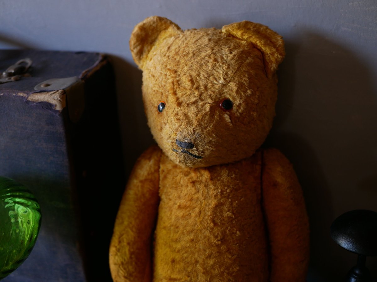 フランスアンティーク くまのぬいぐるみ テディベア | mamantique