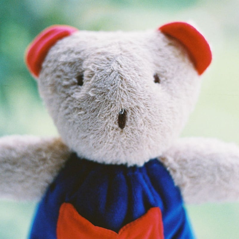 6ヶ月-〉ジルケくま | TOYS&GIFT MOMO