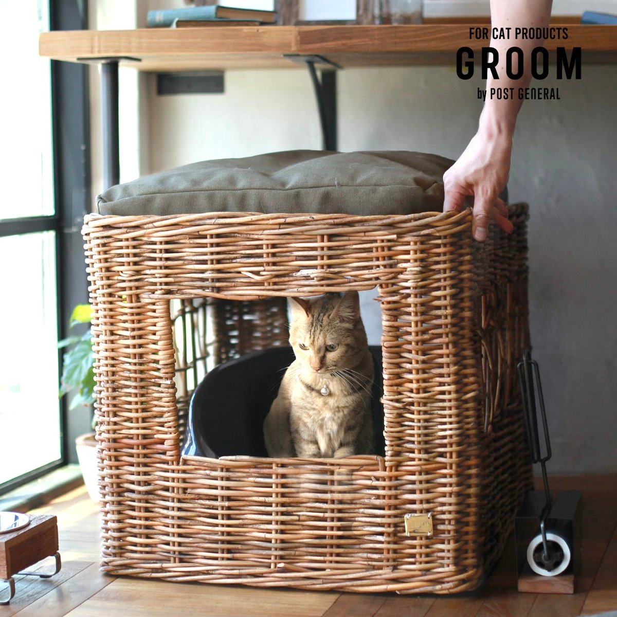 fit=scale-down,w=1200