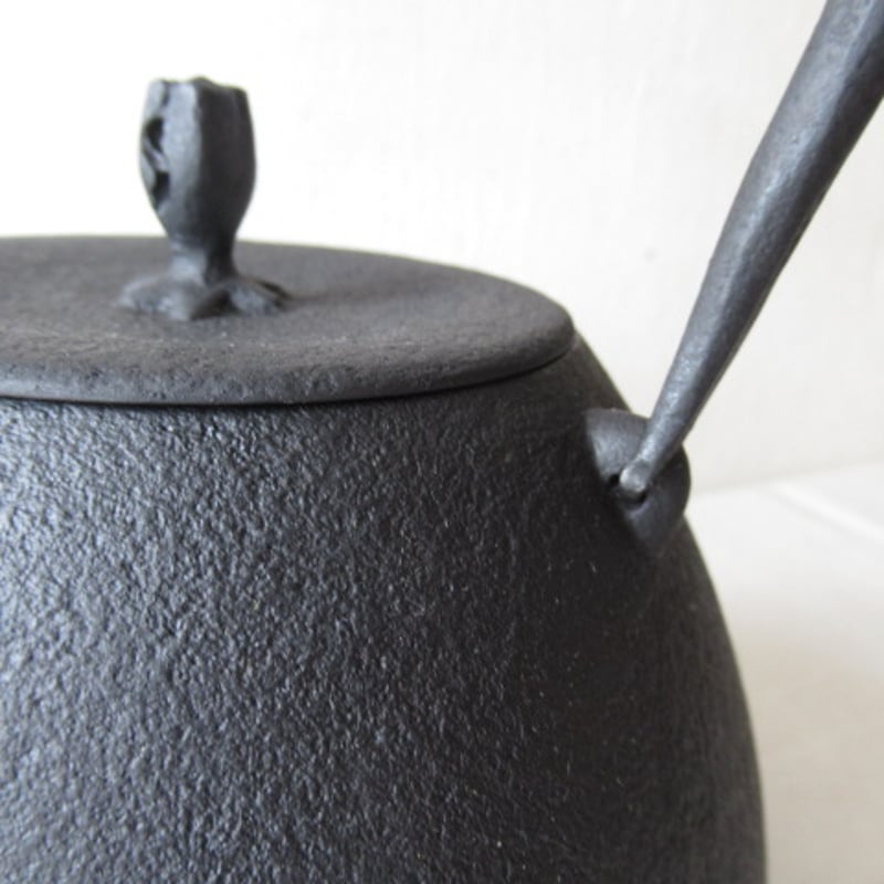釜定 鉄瓶 / 秋の実 肌 南部鉄器 | AKI interior space