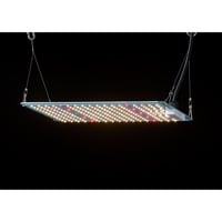 sodatec LED 720W | growshop hifumi