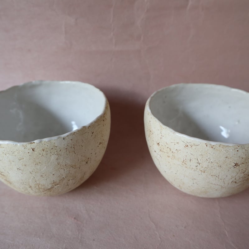 内田鋼一 加彩 ボウル bowl 花器 加彩BOWL 007A | 桃居 online