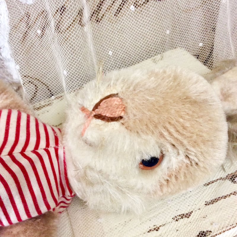 シュコー社 bigobelloシリーズ ウサギ | sputnikplus online shop