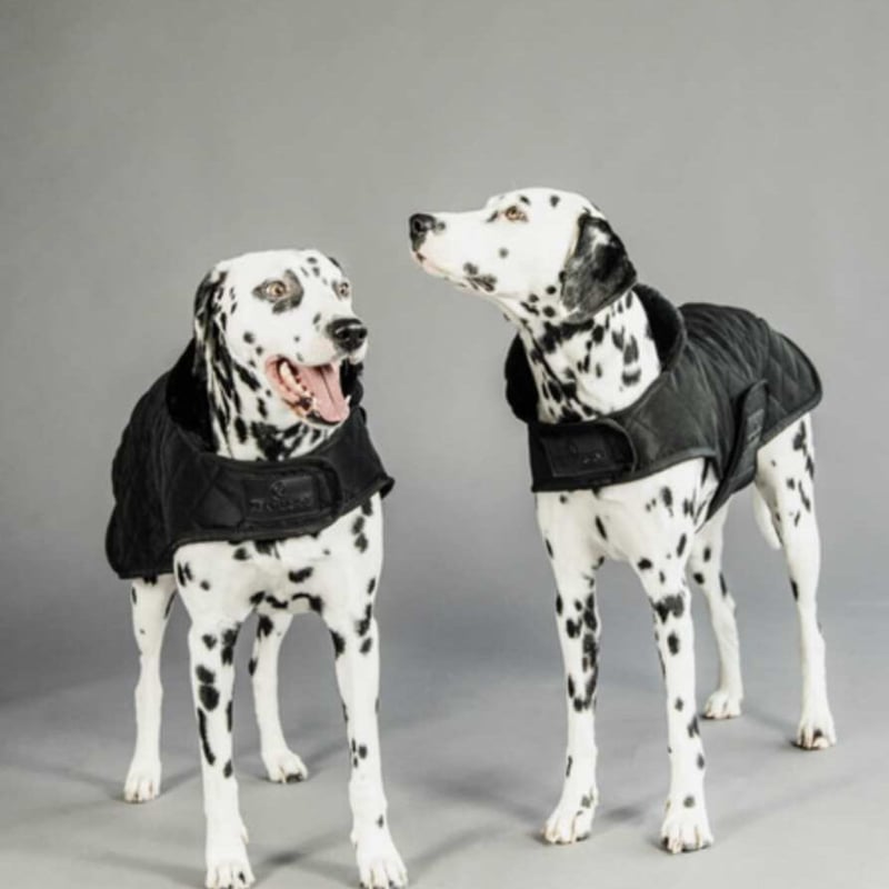 Kentucky Dogwear] 防寒コート ブラック/ボルドー/ネイビー | モフモフ