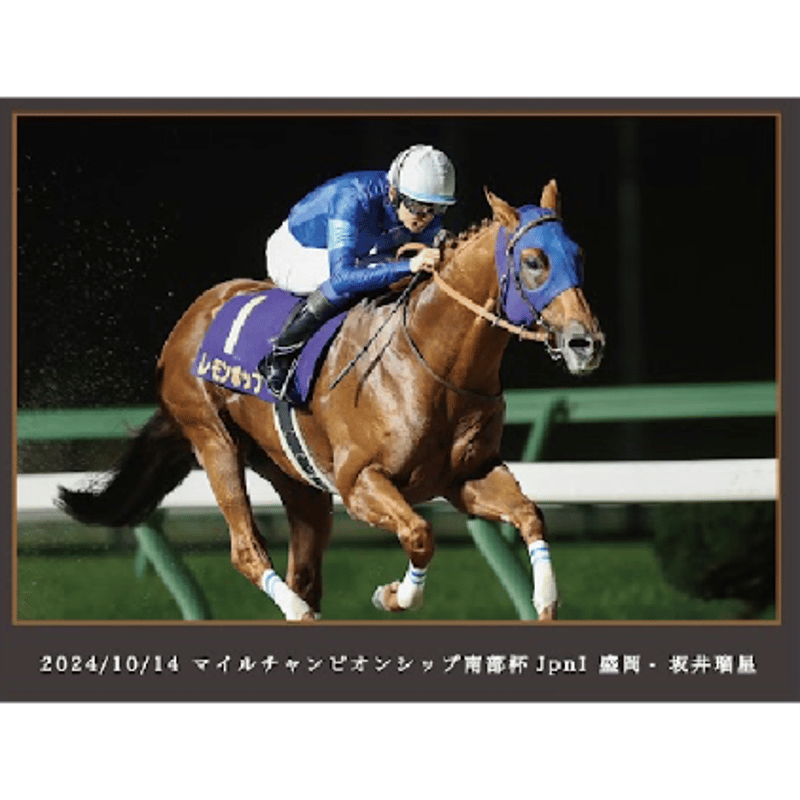 数量50個限定】レモンポップ引退記念写真デザインパネル（シリアル