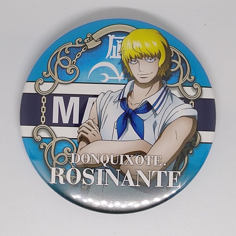 ワンピース ハワイアンズ ウォーター ドでか 缶バッジ ロビン 水着 輩