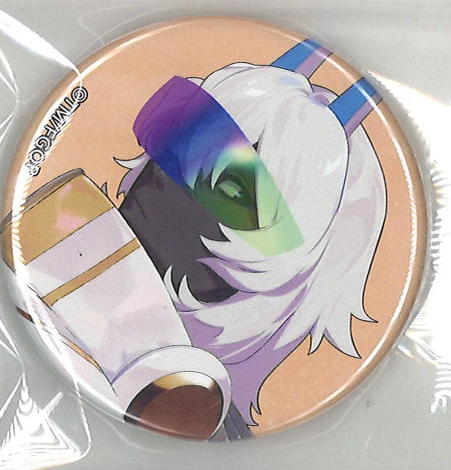 霊基召喚 缶バッジ バーヴァンシー fes 2022 夢装 7周年 FGO フェス