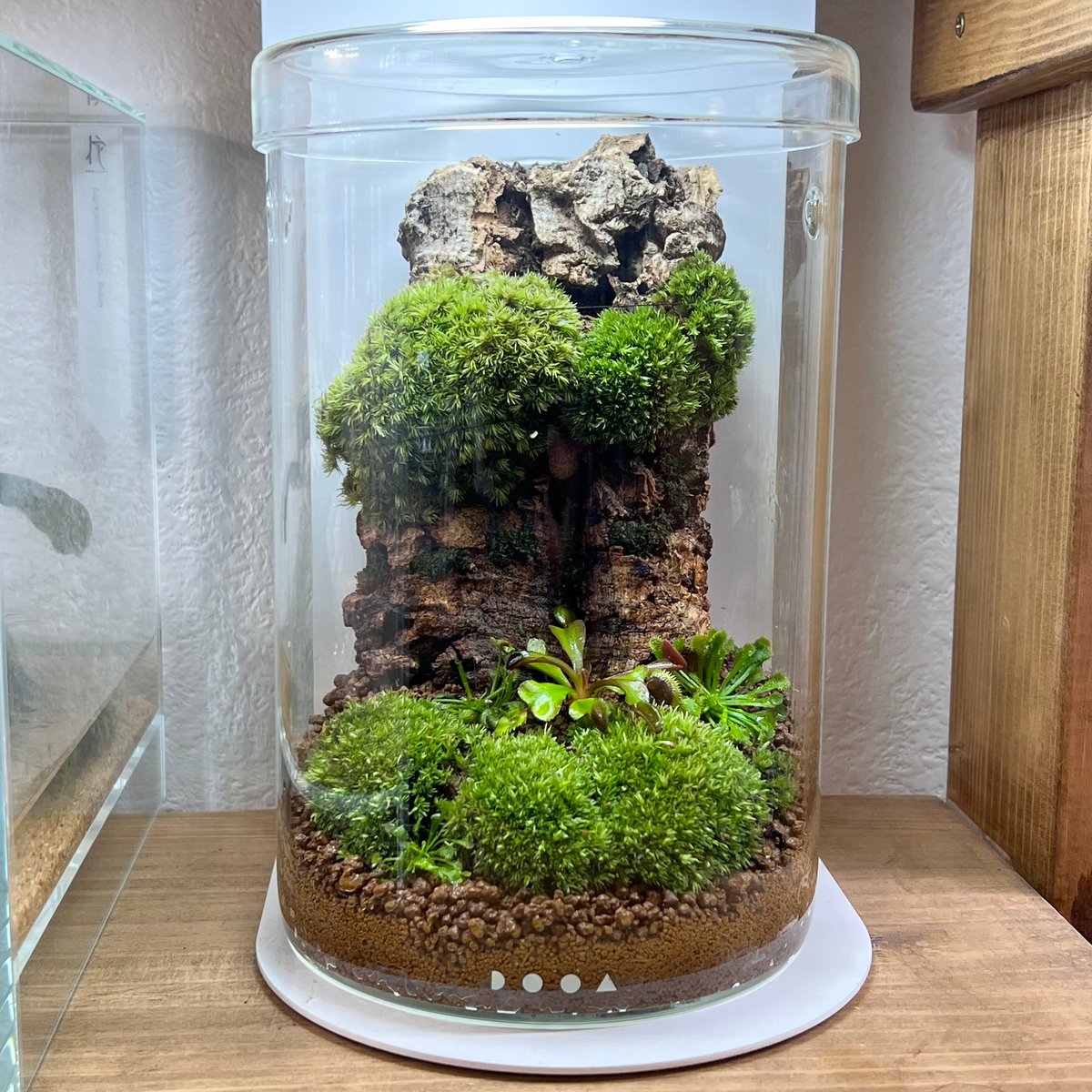 dooa ada ソルスタンドrgb ADA DOOA SOL STAND RGB ライト DOOA SOL