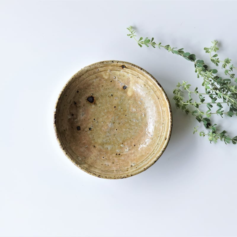 黄瀬戸、竹文中皿5枚 黄瀬戸、竹文中皿5枚